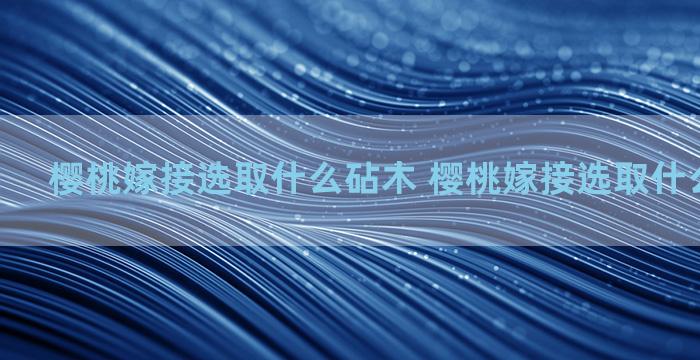 樱桃嫁接选取什么砧木 樱桃嫁接选取什么砧木最好